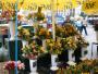 Proslulé krakovské květinové trhy