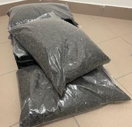 Krmit budeme touto slunečnicí