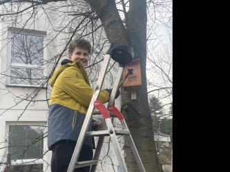 Nejprve budky, ty ale přijdou ke slovu až na jaře