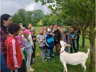 4. A na ekofarmě