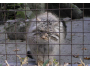 Soutěž v ostravské ZOO