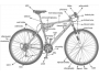 Naši cyklisté zvítězili